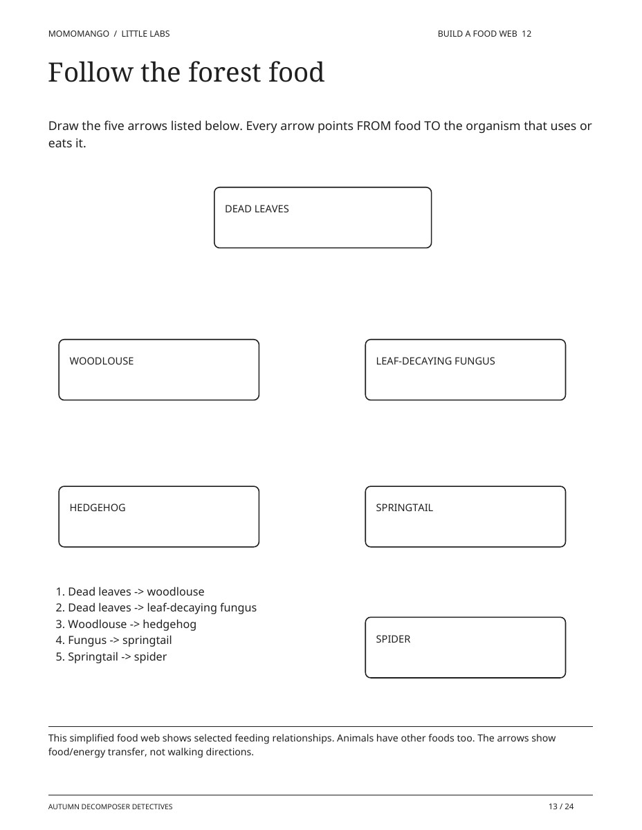 Preview of the forest-floor food web worksheet