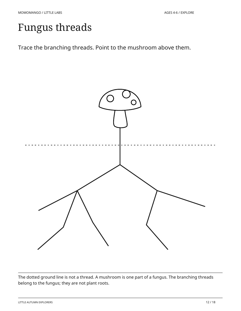 Fungus threads, ages 4-6, from Little Autumn Explorers