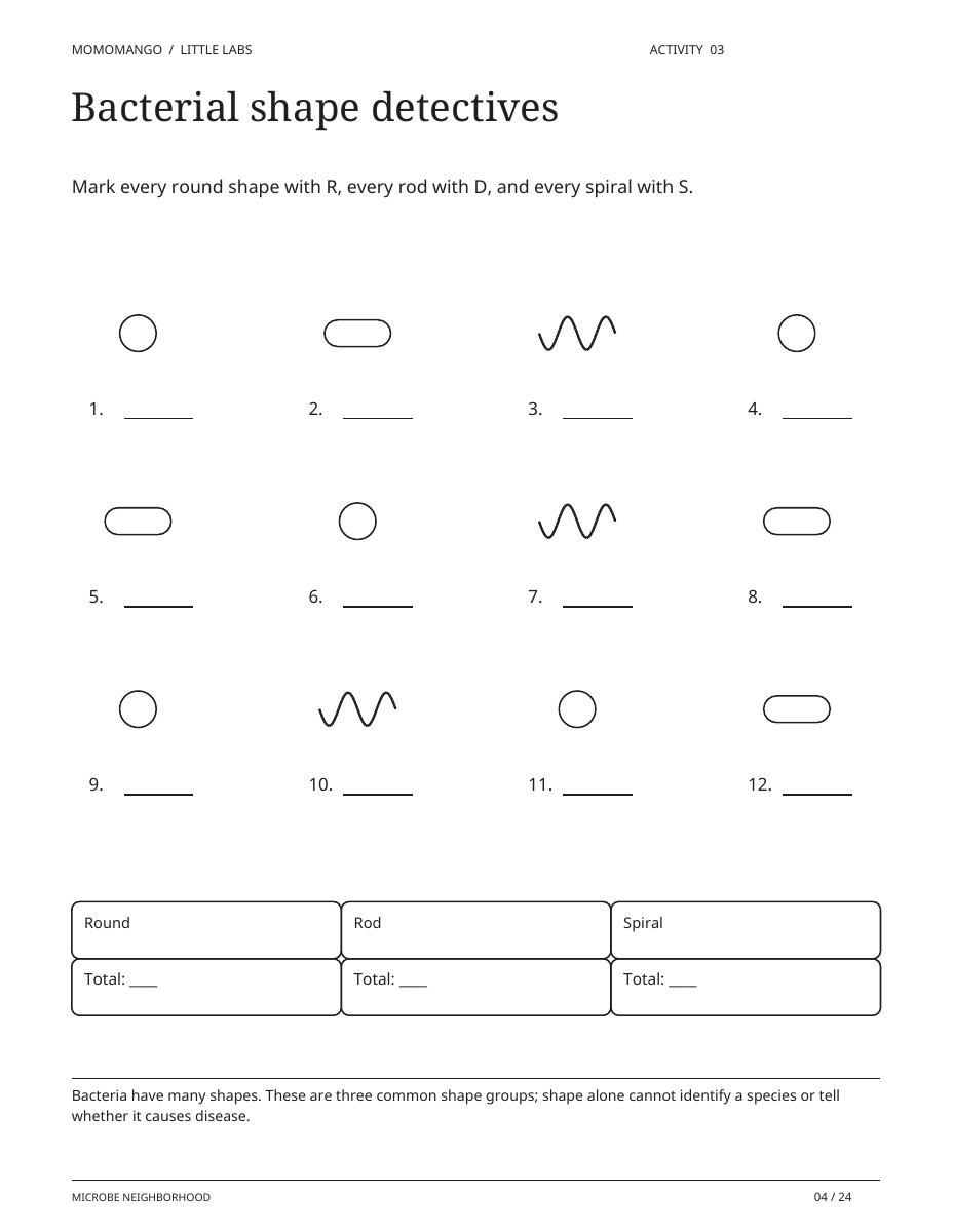 Preview of the bacterial shape comparison worksheet