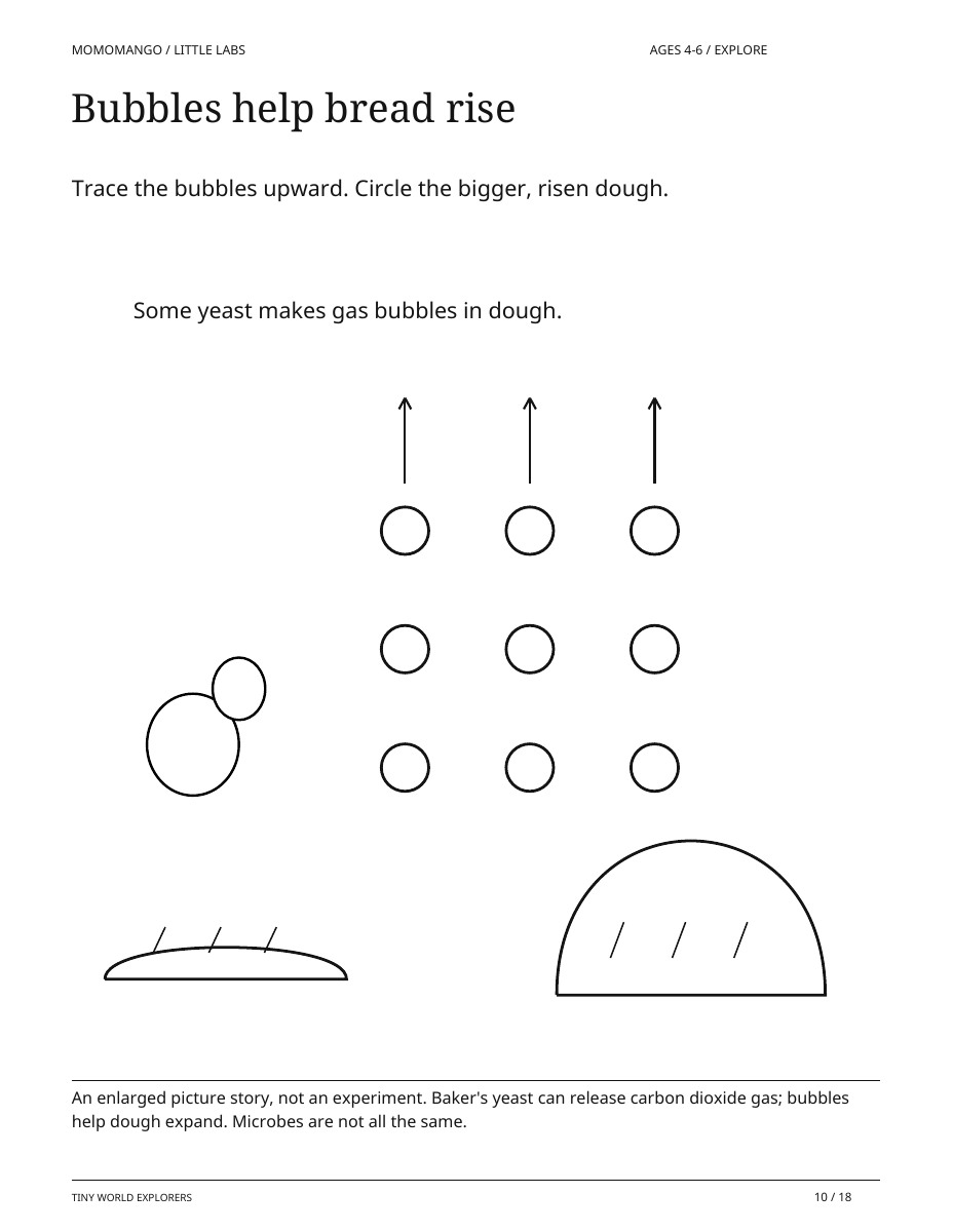 Bubbles help bread rise, ages 4-6, from Tiny World Explorers